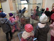 Výlet Dobrovice  Ptačí svět